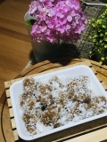 Ongol Ongol Singkong